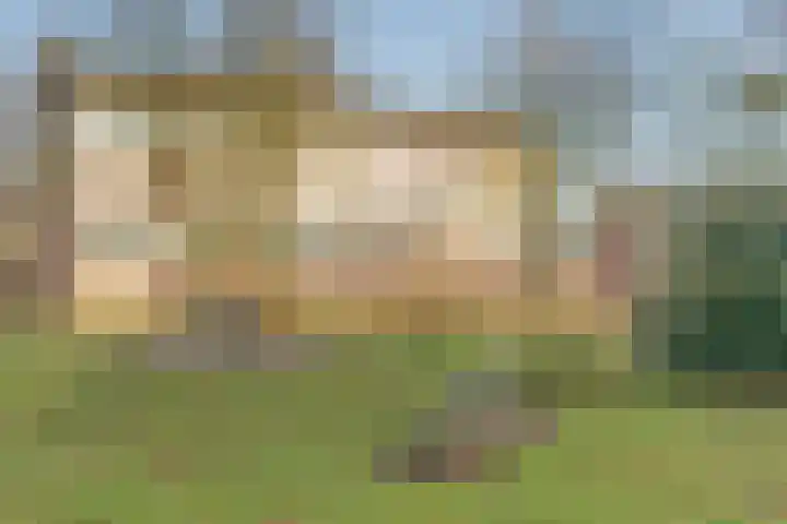 Vogelplantsoen 126 Dieren thumbnail 24