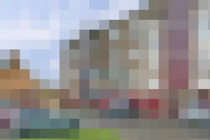 Vogelplantsoen 126 Dieren thumbnail 25