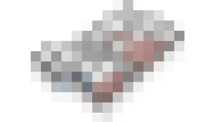 Vogelplantsoen 126 Dieren thumbnail 26