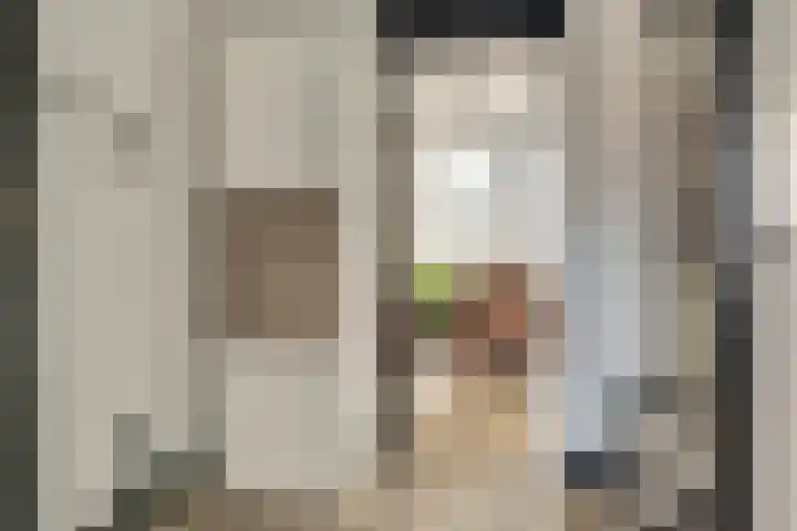 Vogelplantsoen 126 Dieren thumbnail 4