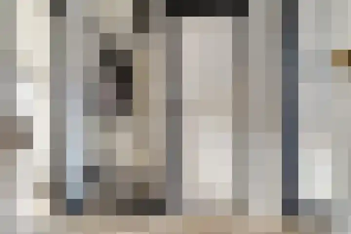 Vogelplantsoen 126 Dieren thumbnail 5