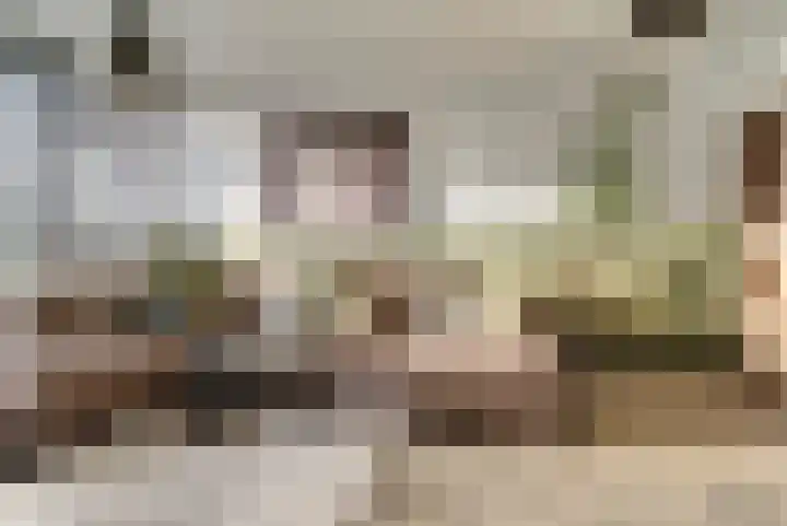 Vogelplantsoen 126 Dieren thumbnail 7