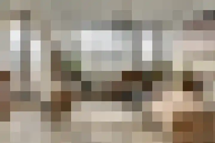 Vogelplantsoen 126 Dieren thumbnail 8