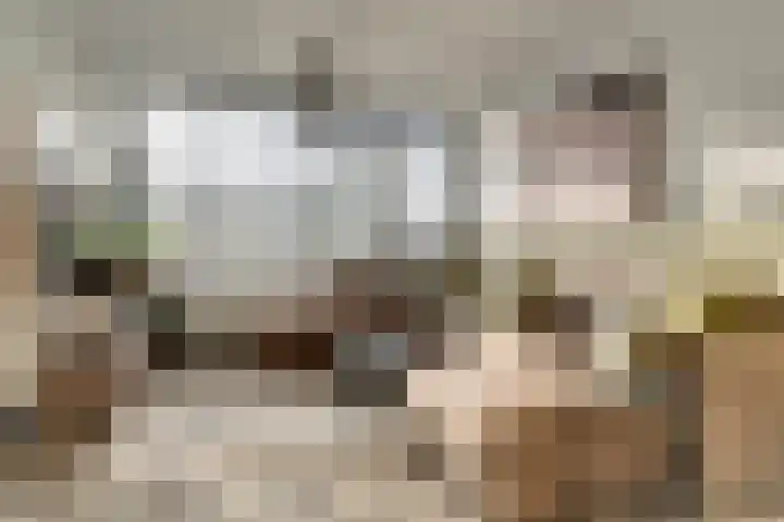 Vogelplantsoen 126 Dieren thumbnail 9