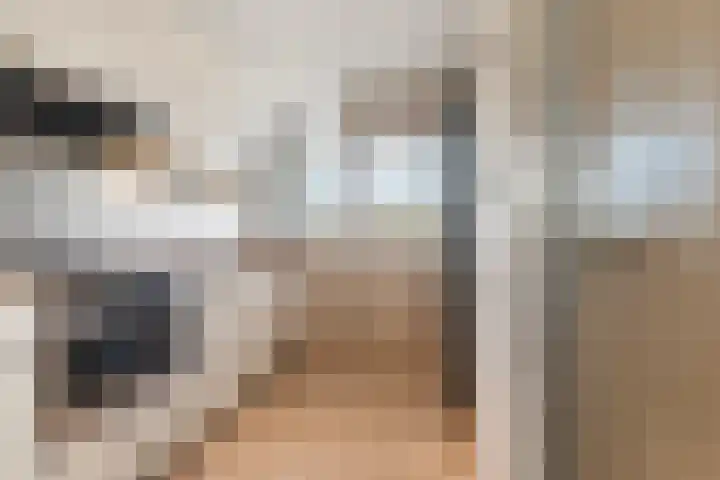 Vogelplantsoen 132 Dieren thumbnail 11