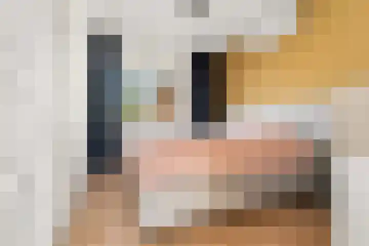 Vogelplantsoen 132 Dieren thumbnail 13