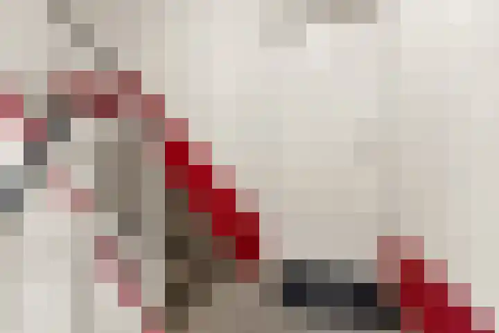 Vogelplantsoen 132 Dieren thumbnail 20