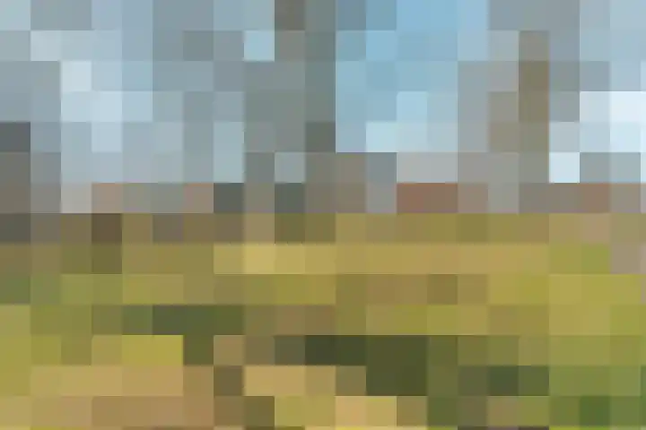 Vogelplantsoen 132 Dieren thumbnail 24