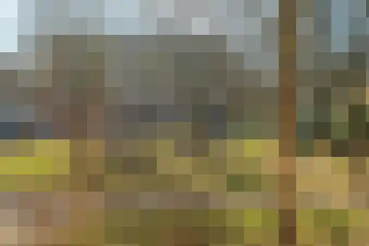 Vogelplantsoen 132 Dieren thumbnail 25