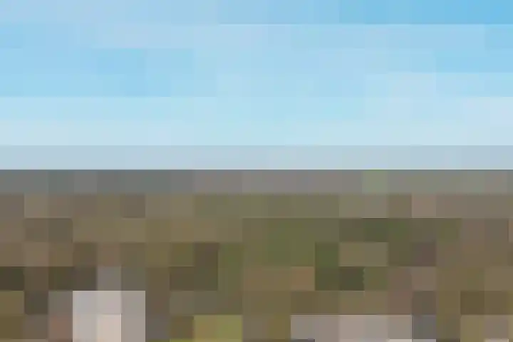 Vogelplantsoen 132 Dieren thumbnail 26