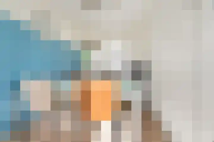 Vogelplantsoen 132 Dieren thumbnail 6