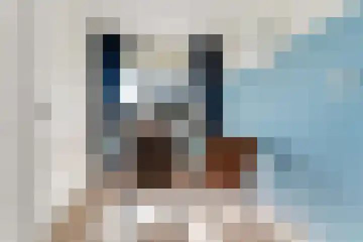 Vogelplantsoen 132 Dieren thumbnail 7