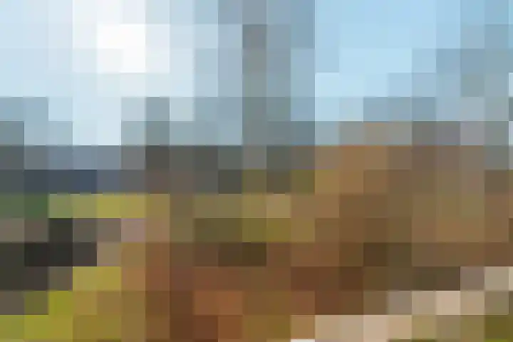 Vogelplantsoen 132 Dieren thumbnail 9