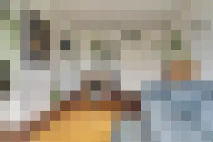 Vogelplantsoen 155 Dieren thumbnail 8