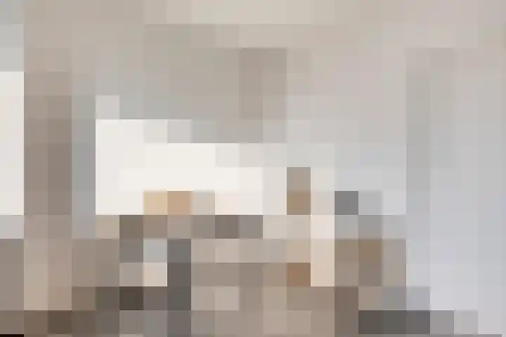 Vogelplantsoen 157 Dieren thumbnail 10