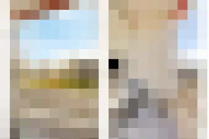 Vogelplantsoen 157 Dieren thumbnail 11