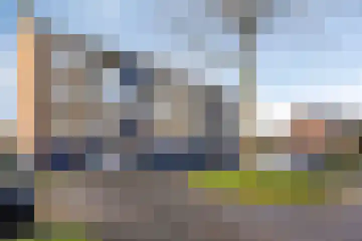 Vogelplantsoen 157 Dieren thumbnail 24