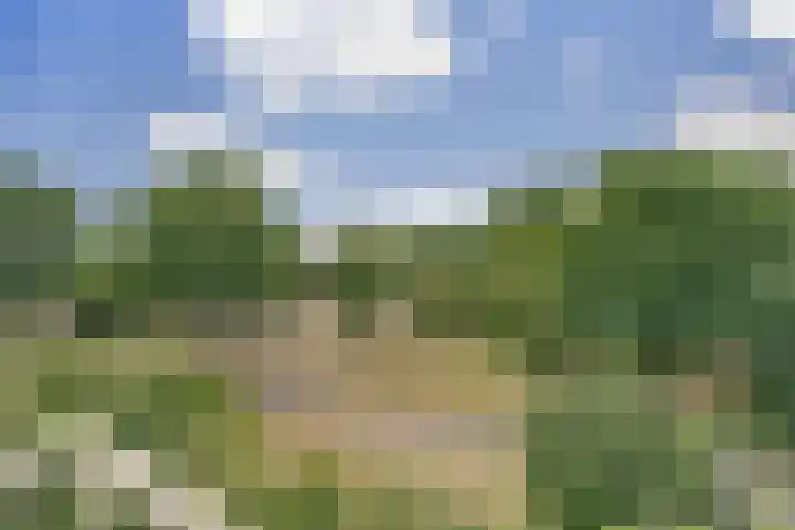 Vogelplantsoen 171 Dieren thumbnail 11
