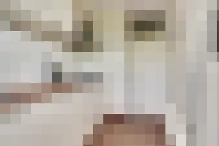 Vogelplantsoen 171 Dieren thumbnail 13