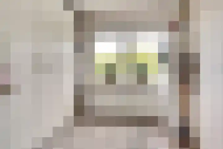Vogelplantsoen 171 Dieren thumbnail 17