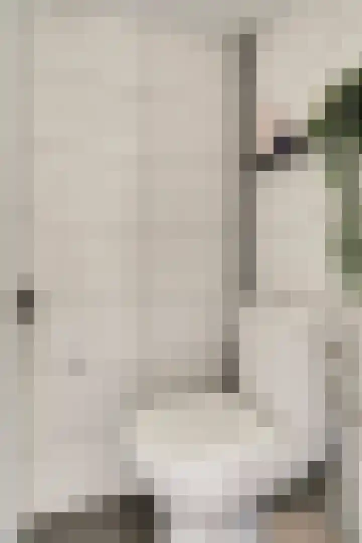 Vogelplantsoen 171 Dieren thumbnail 19