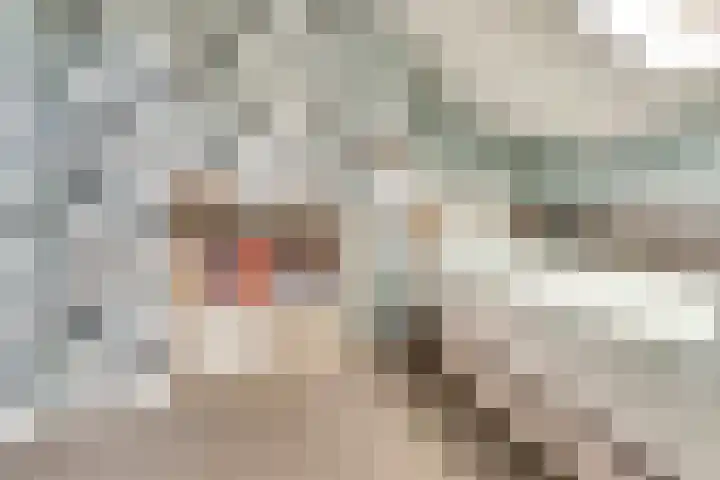 Vogelplantsoen 171 Dieren thumbnail 22