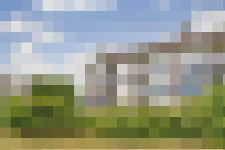 Vogelplantsoen 171 Dieren thumbnail 28