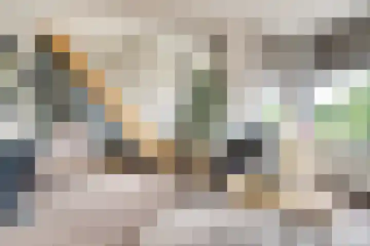 Vogelplantsoen 171 Dieren thumbnail 5