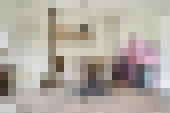 Vogelplantsoen 171 Dieren thumbnail 7