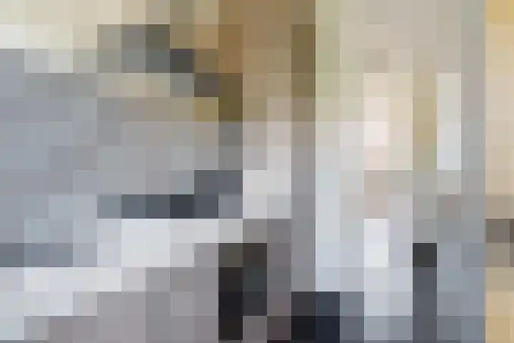 Vogelplantsoen 186 Dieren thumbnail 15
