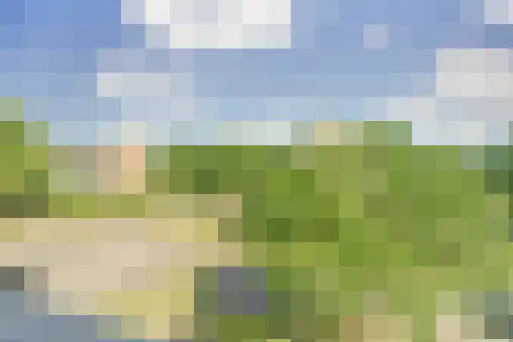 Vogelplantsoen 186 Dieren thumbnail 26