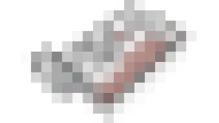 Vogelplantsoen 186 Dieren thumbnail 28