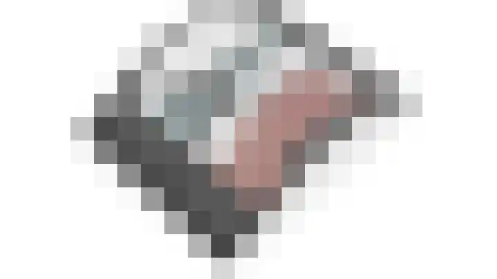 Vogelplantsoen 186 Dieren thumbnail 30