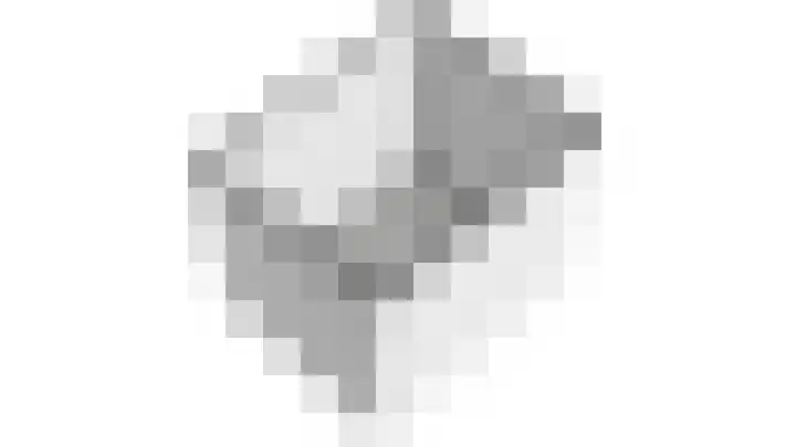 Vogelplantsoen 186 Dieren thumbnail 32