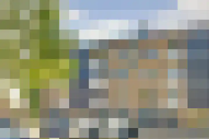 Vogelplantsoen 186 Dieren thumbnail 34