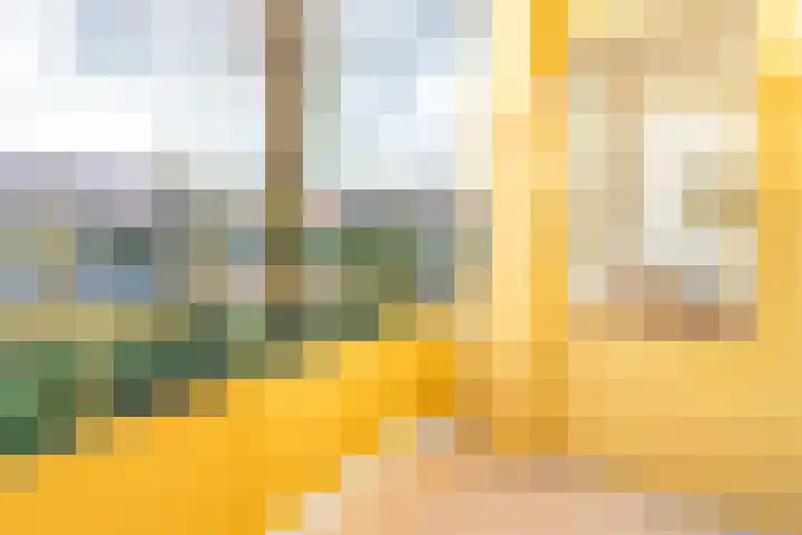 Vogelplantsoen 19 Dieren thumbnail 16