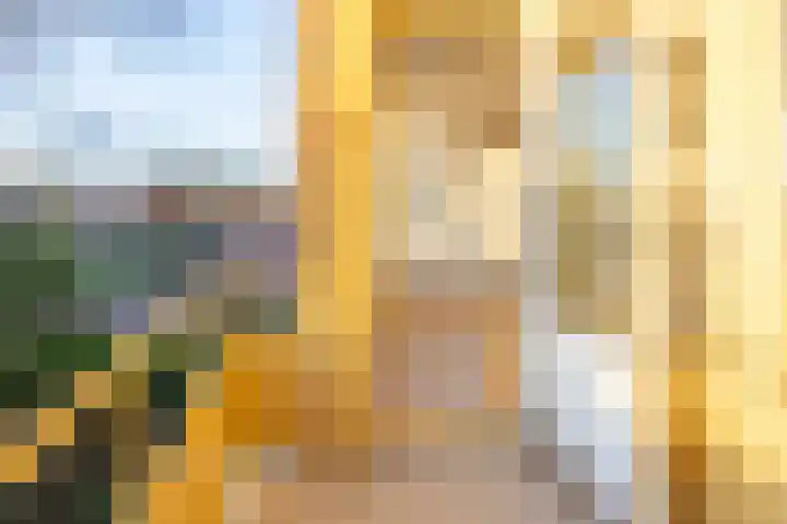 Vogelplantsoen 19 Dieren thumbnail 17