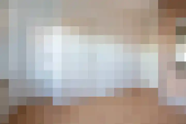 Vogelplantsoen 19 Dieren thumbnail 20