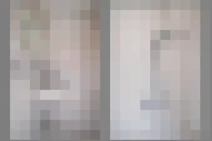 Vogelplantsoen 19 Dieren thumbnail 23