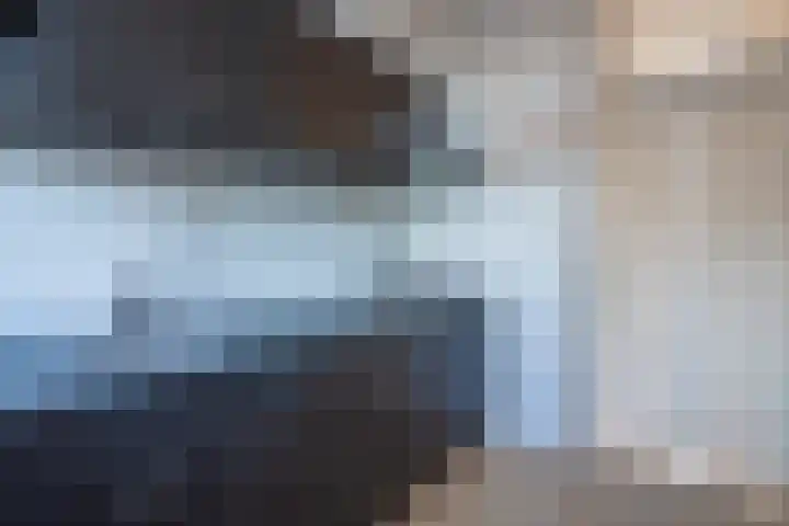 Vogelplantsoen 19 Dieren thumbnail 26