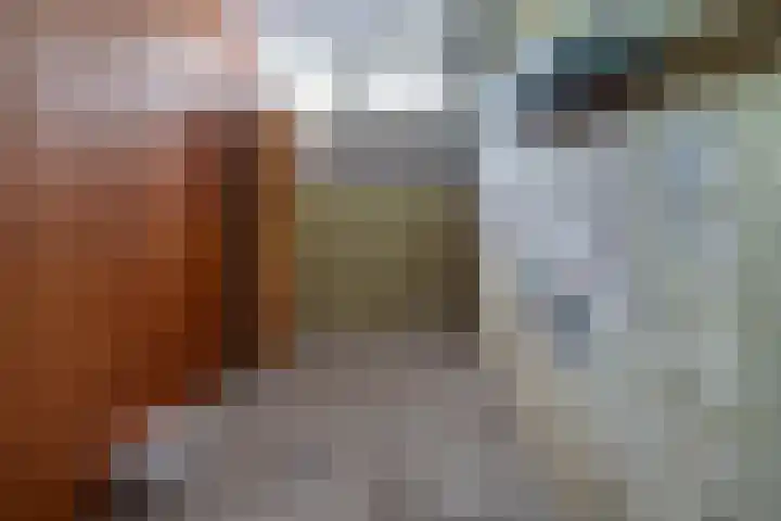 Vogelplantsoen 19 Dieren thumbnail 28