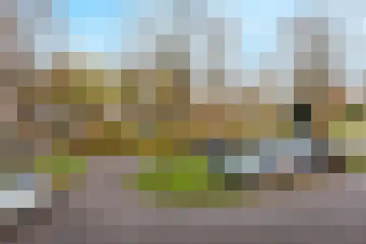 Vogelplantsoen 19 Dieren thumbnail 30