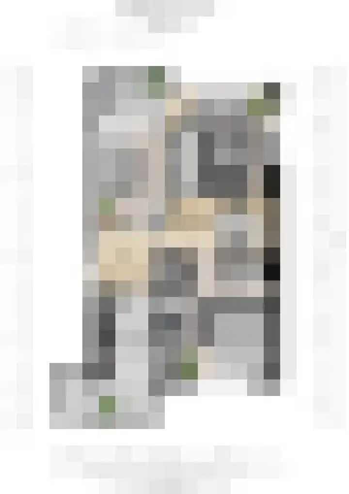 Vogelplantsoen 19 Dieren thumbnail 31