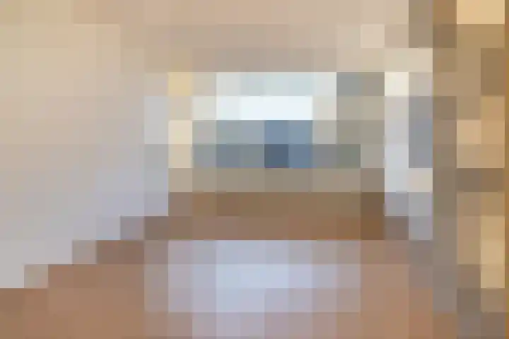 Vogelplantsoen 19 Dieren thumbnail 9
