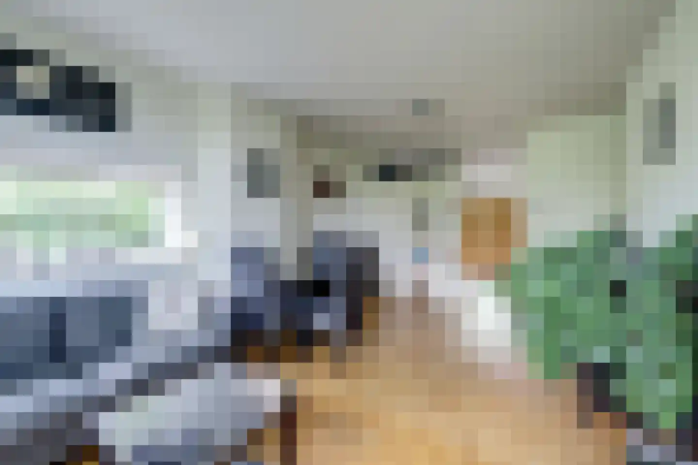 Vogelplantsoen 2 Dieren thumbnail 14