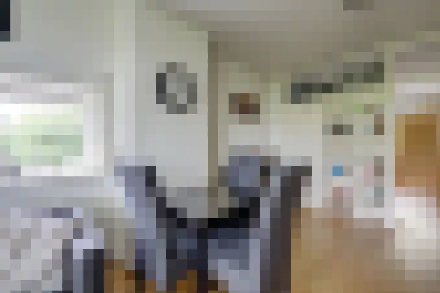 Vogelplantsoen 2 Dieren thumbnail 16