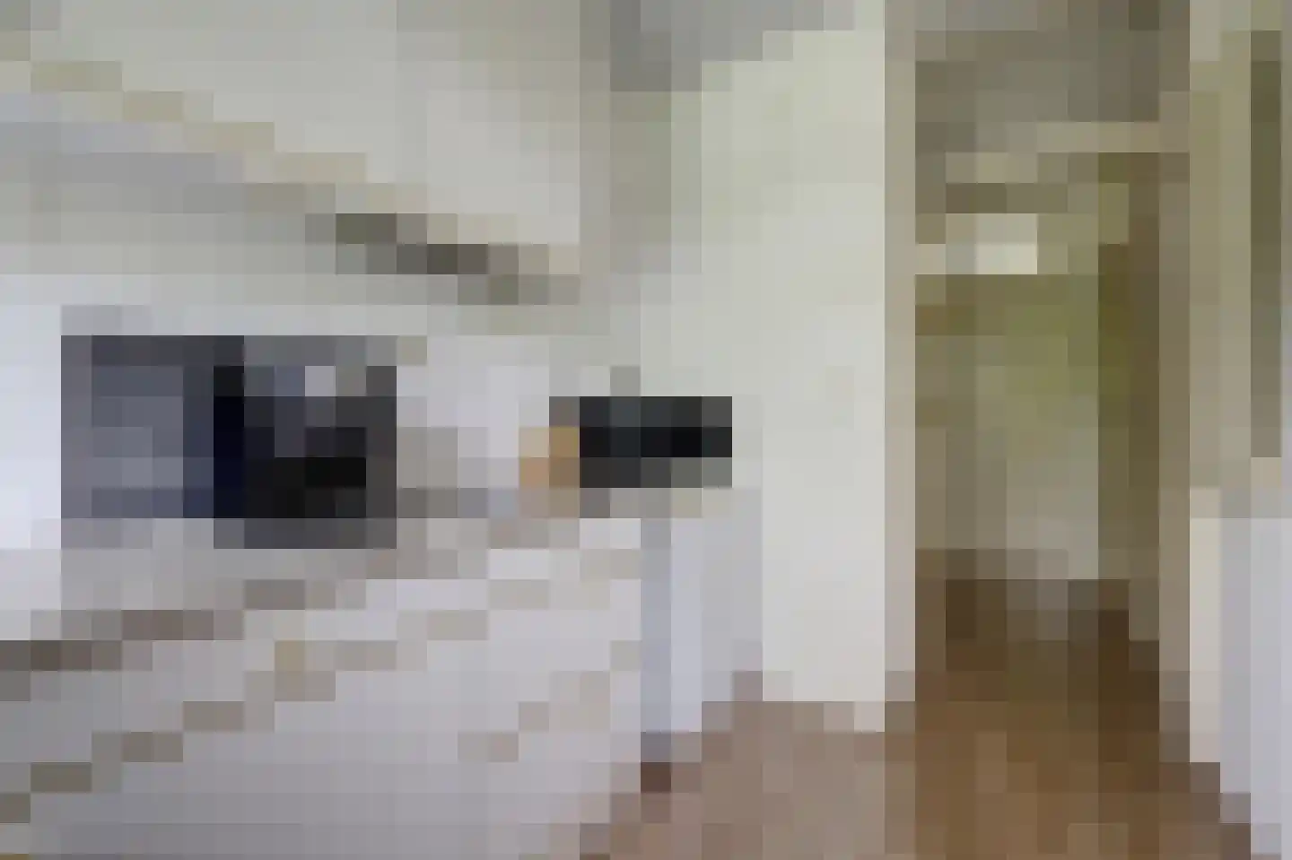 Vogelplantsoen 2 Dieren thumbnail 19