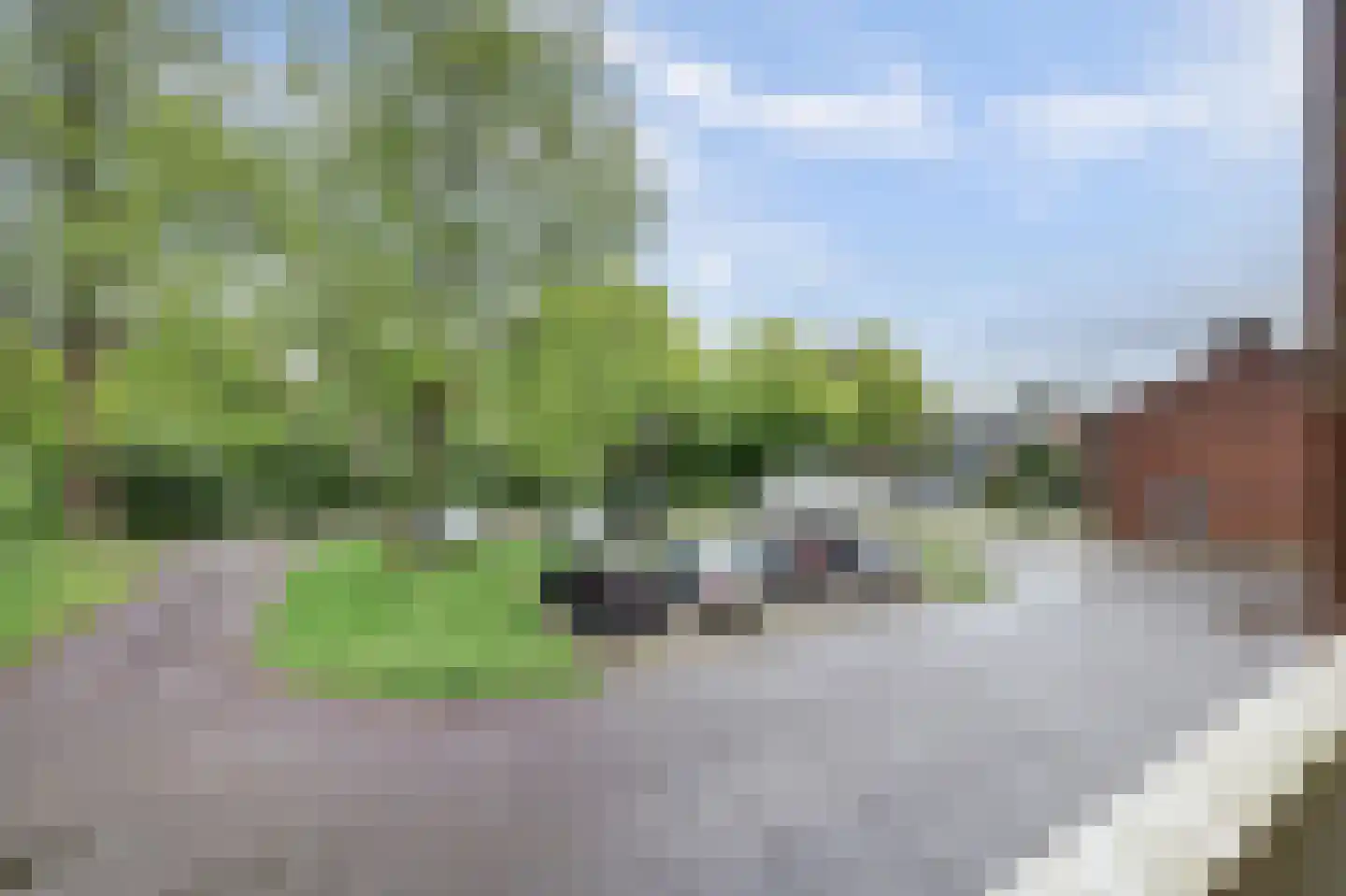 Vogelplantsoen 2 Dieren thumbnail 30