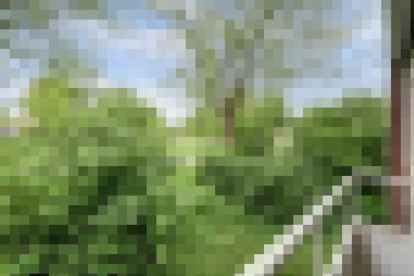Vogelplantsoen 2 Dieren thumbnail 33