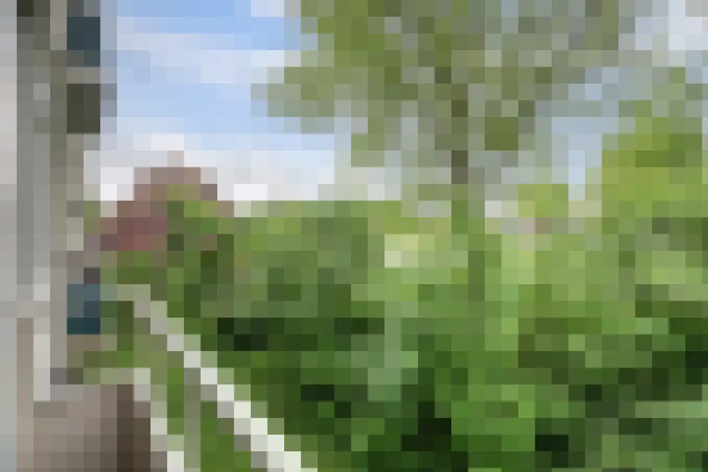 Vogelplantsoen 2 Dieren thumbnail 34